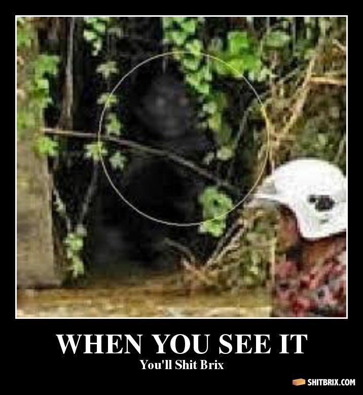 When You See It You Ll Shitbrix