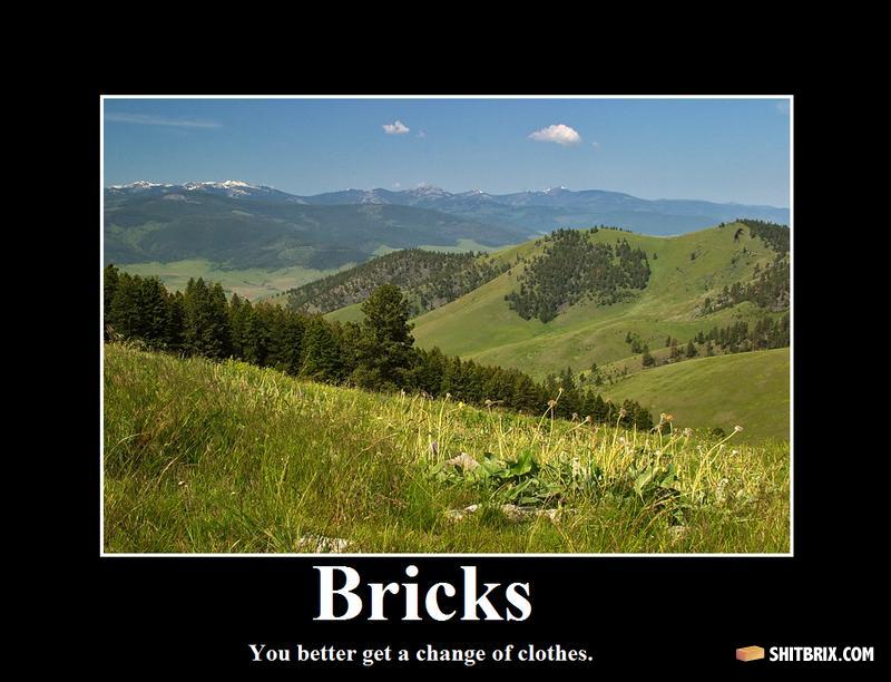 Bricks-the_hills