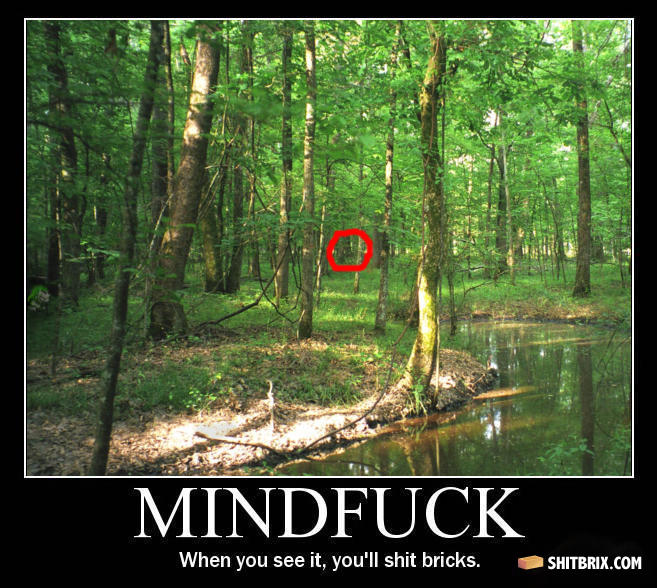 Mindfuck