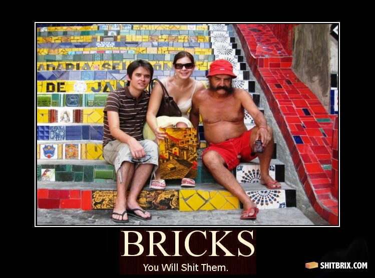 Shitbrickshere
