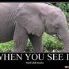 107 - Mindfuck Pictures, When You See It You'll Shit Bricks