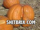 Dirty_pumpkin