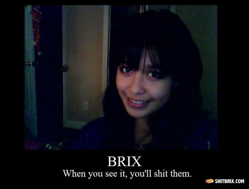 Shitbrix