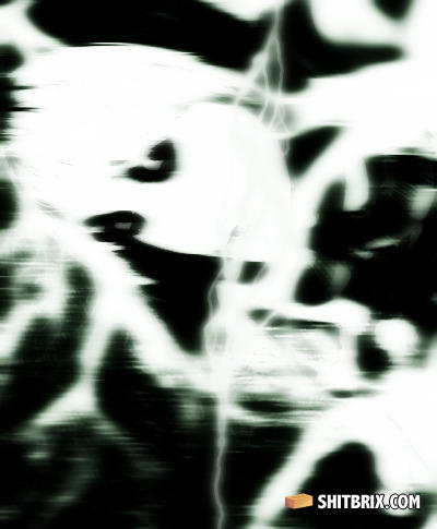 113