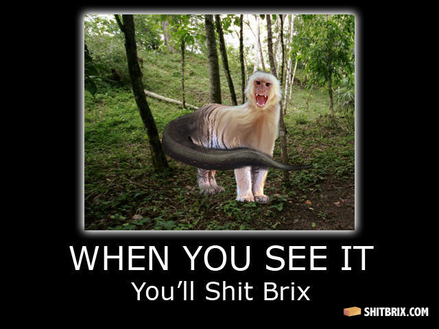 Shitbrix
