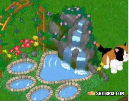 Kitty_cat
