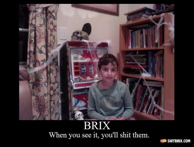 Shitbrix-5