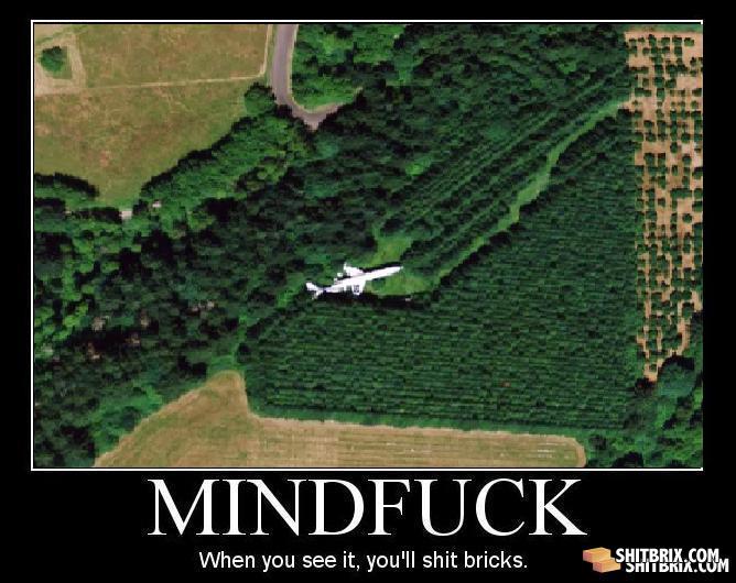 Shit_brix_air_plane