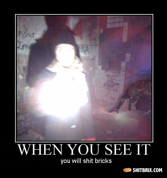 Shit_bricks