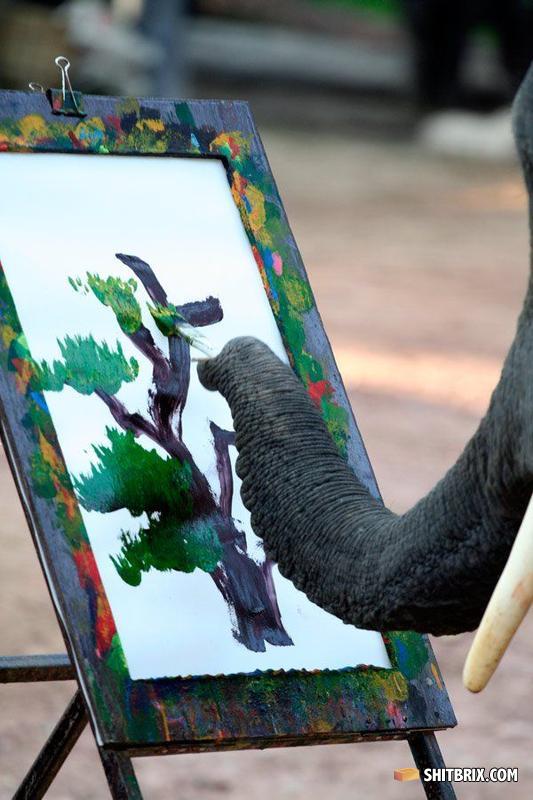 Elephant_artist_04