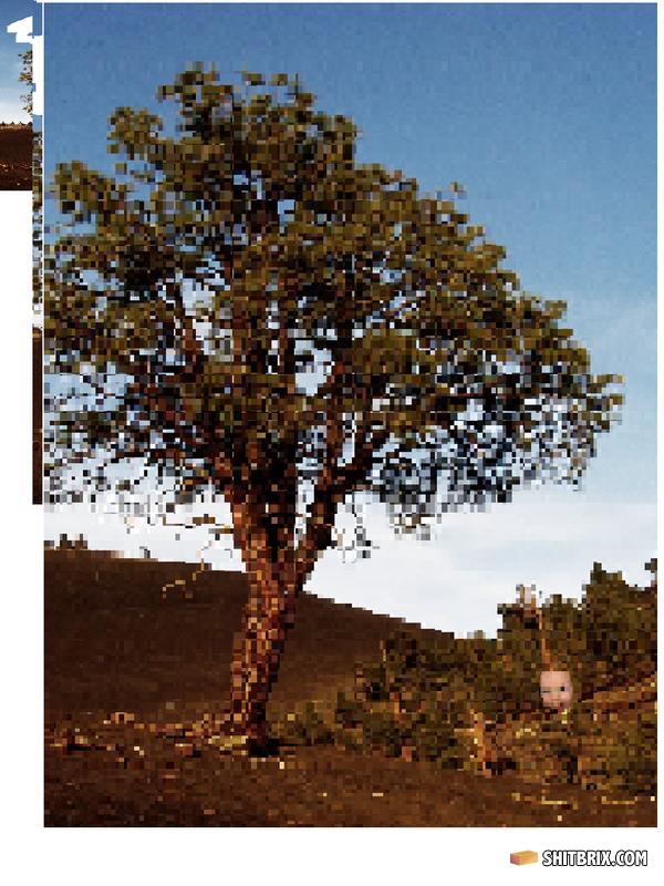 One_tree_hill