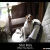 195 - Shit Brix