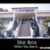 195 - Shit Brix