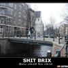 145 - Shit Brix