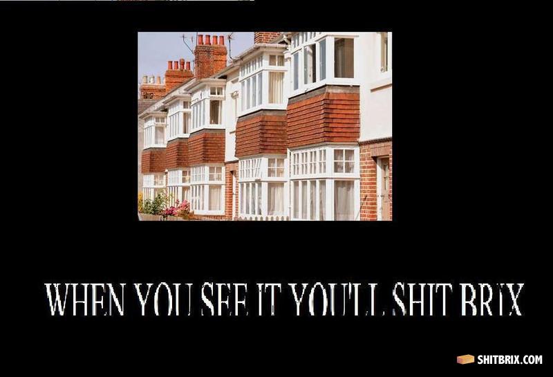 When_you_see_it_youll_shit_bricks