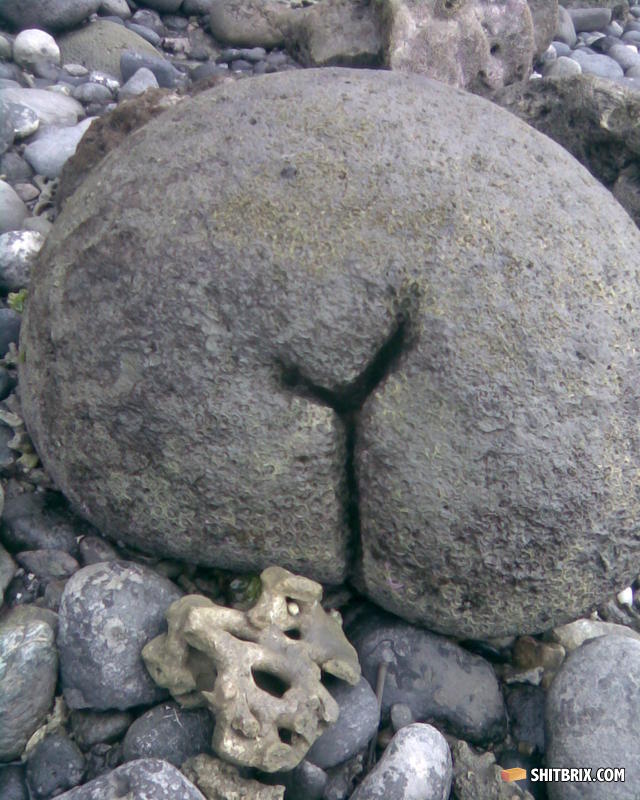 Image307
