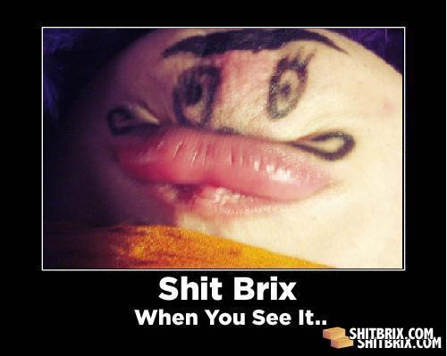 Shitbrix