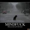 Dog-in-rain-51204