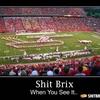 87163 - Shit Brix