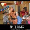 29 - Shit Brix