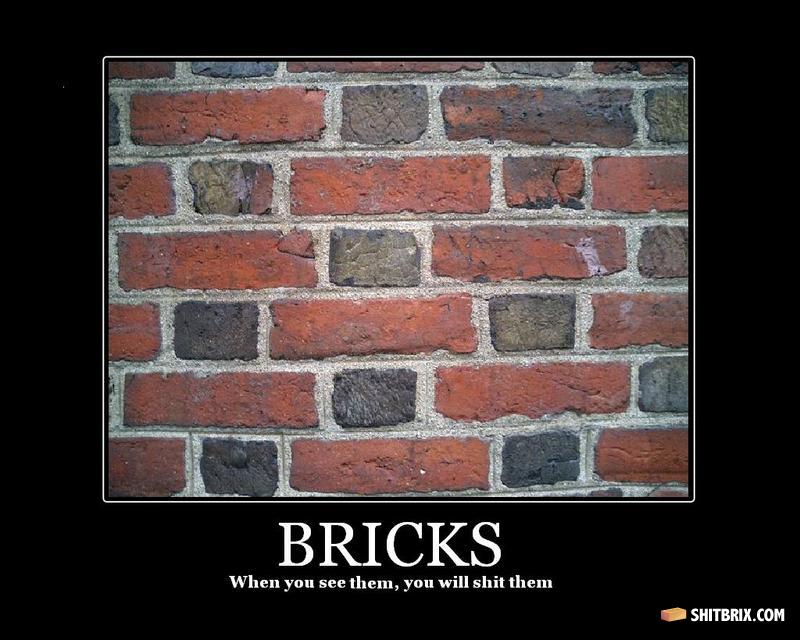 Bricks
