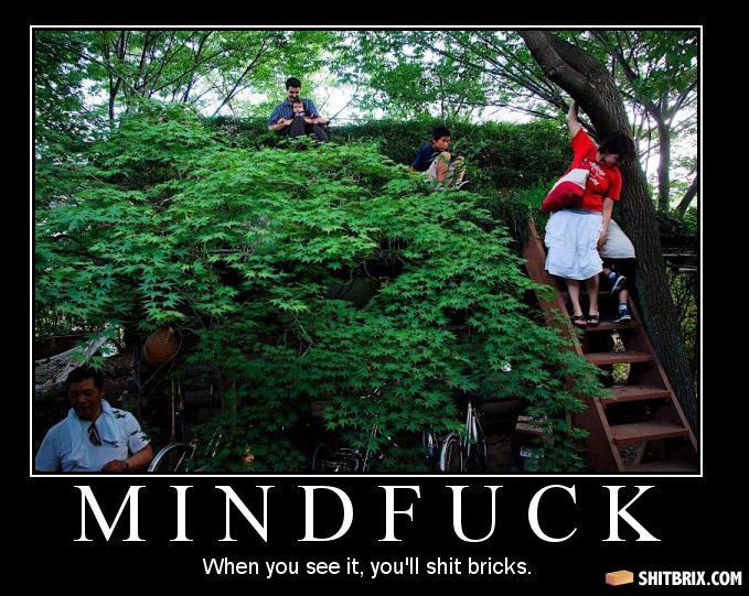 The-bush-36587