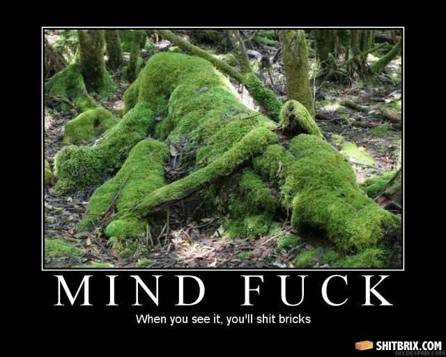 Wood-moss-47942