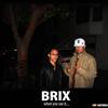 286 - Shit Brix