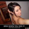 33190 - Shit Brix