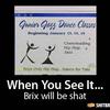 33190 - Shit Brix