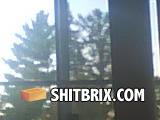 Chickwindow