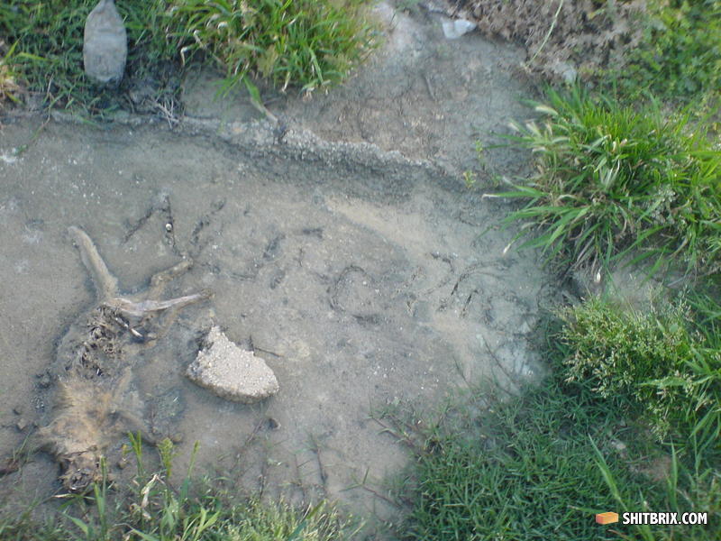 Dsc00038