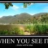 29205 - Mindfuck Pictures, When You See It You'll Shit Bricks