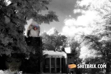 4shitbrix6