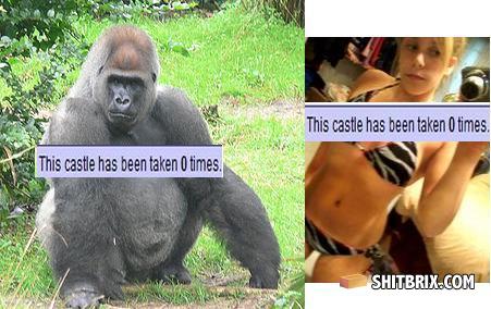 Same-thing