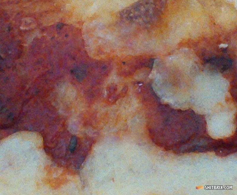 Pizza_dog