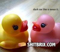 Ducks