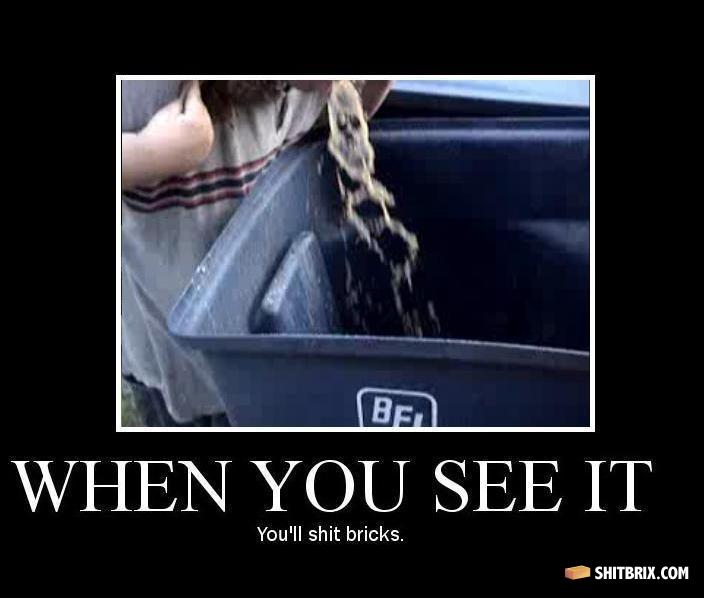 See_it_shit_brix