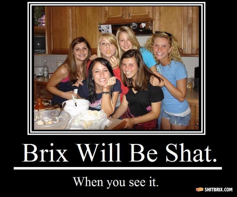 Bricks_will_be_shat