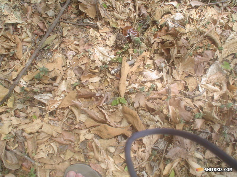 Dsc00534