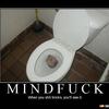 Funny-shit-brix-88924