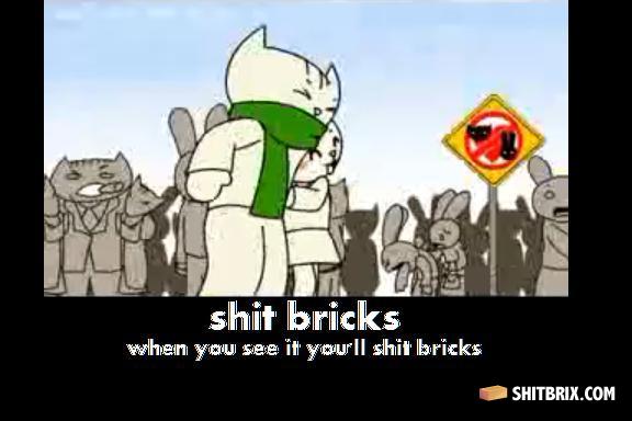 Bricks