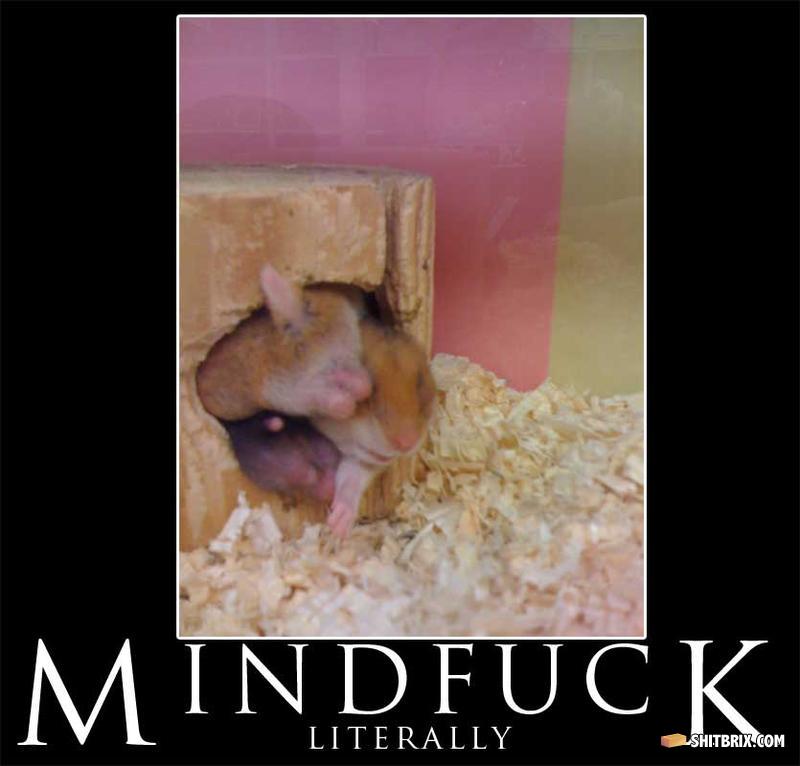 Mindfuck