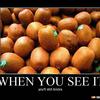 Kiwi-fruit-64084