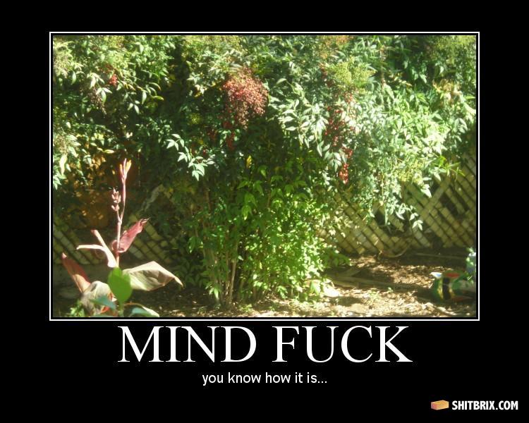 Mindfuck4