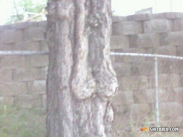 Tree_with_balls