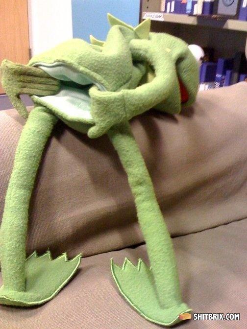 504x_kermit_nooo
