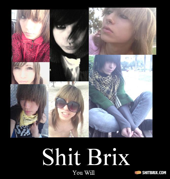 Shitbrix