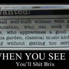 183 - Shit Brix