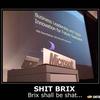 244 - Shit Brix
